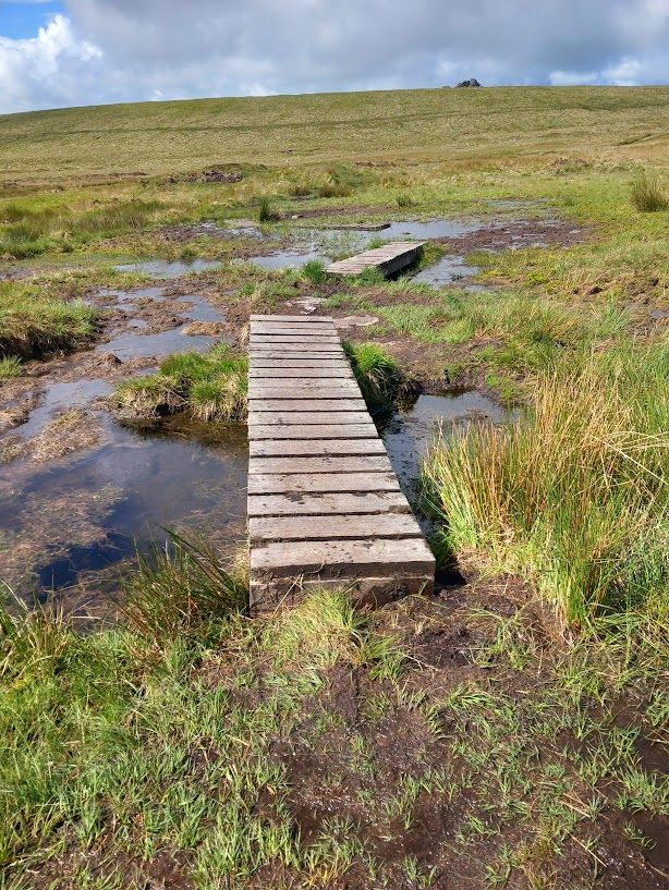 Board walks at Kitty bogs